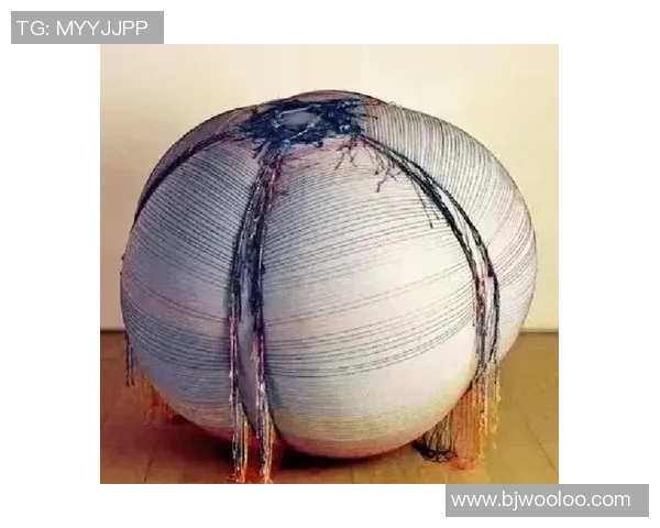 加莱诺的艺术世界探索与文化影响力的深度剖析与反思