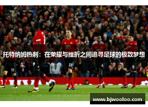 托特纳姆热刺：在荣耀与挫折之间追寻足球的极致梦想