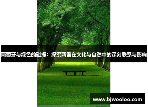 葡萄牙与绿色的碰撞：探索两者在文化与自然中的深刻联系与影响
